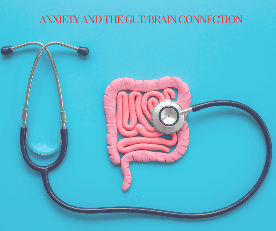 How gut health influences anxiety.
